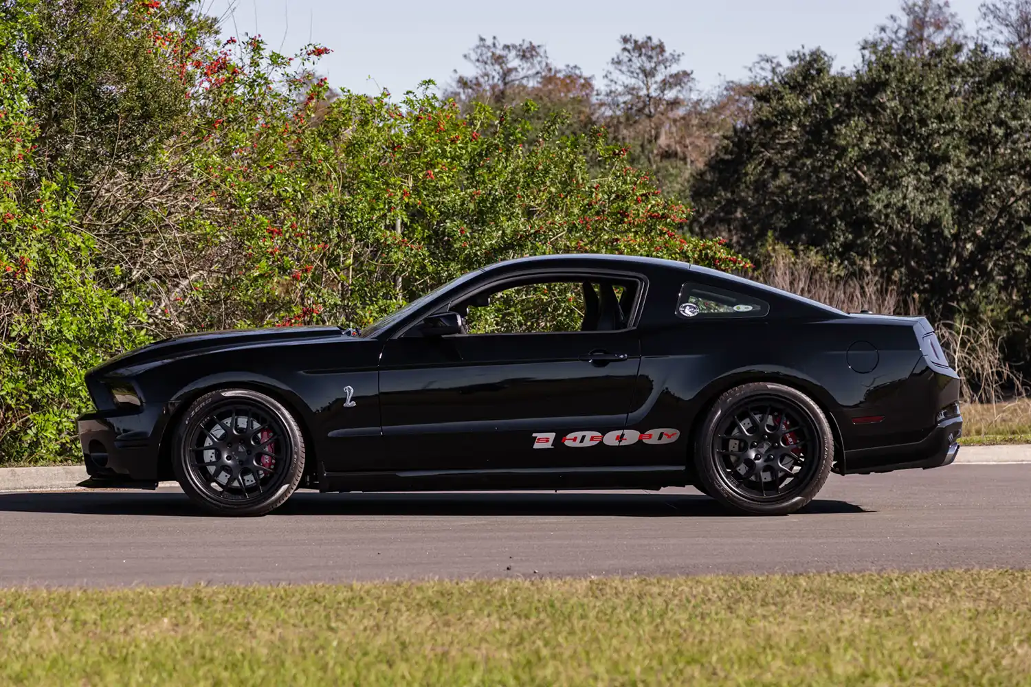 2012 Ford Shelby 1000