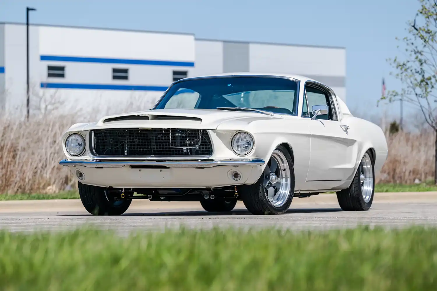 1968 Ford Mustang Pro Touring Fastback