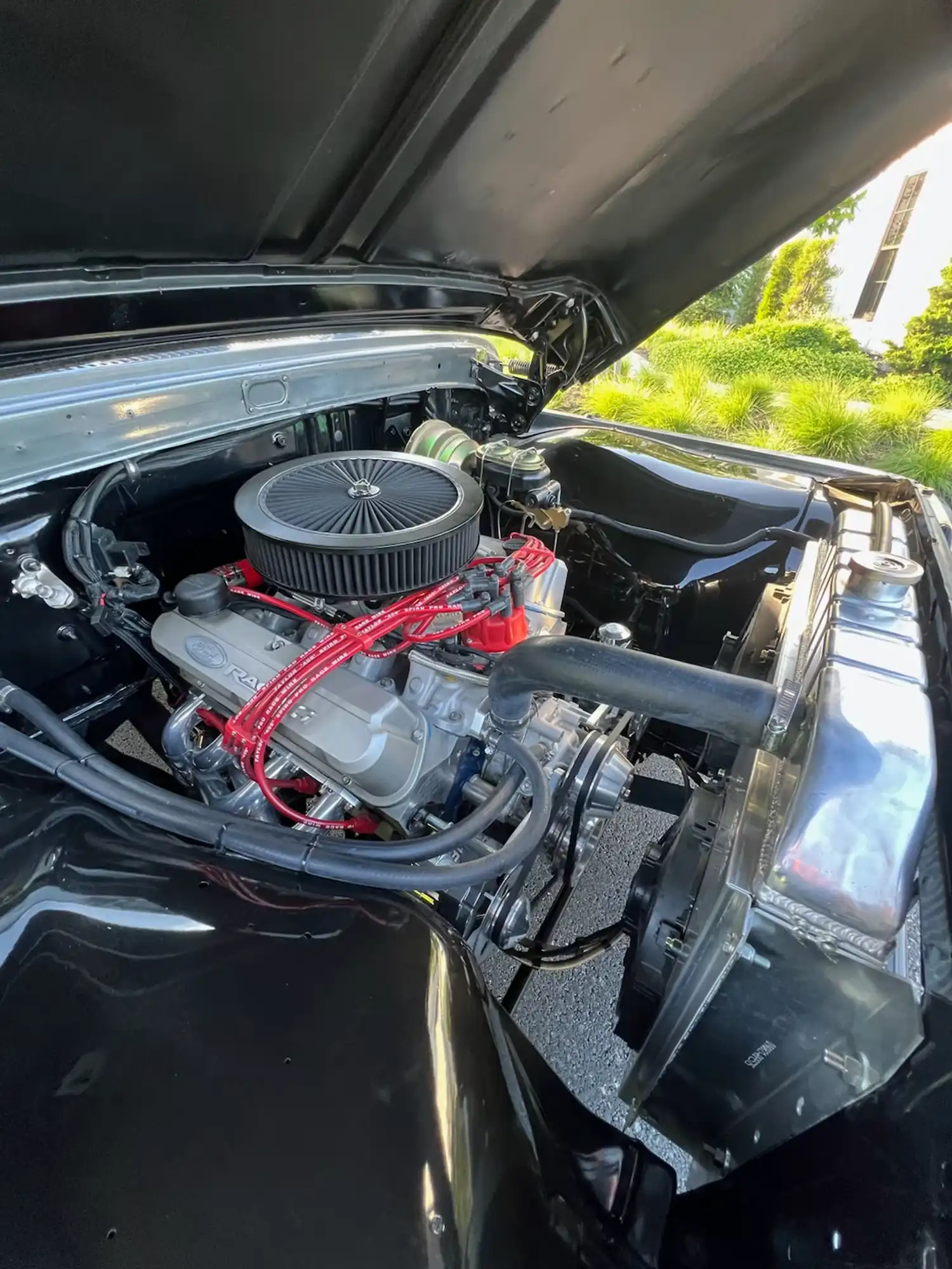 1965 Ford F100 Pickup