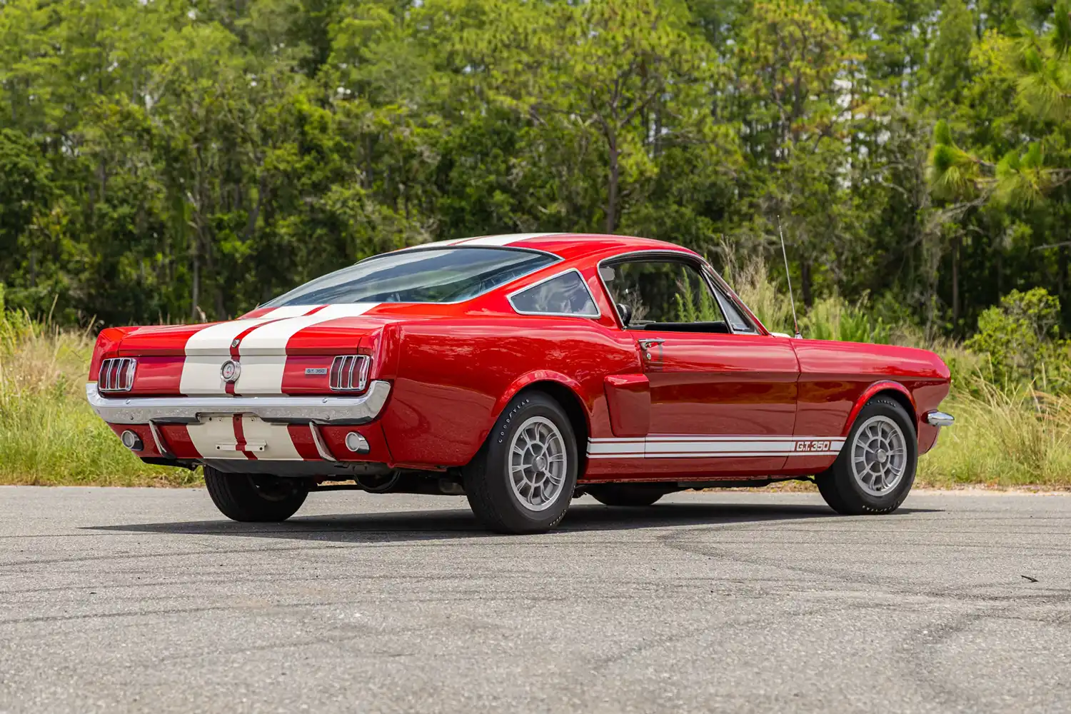 1966 Shelby GT350