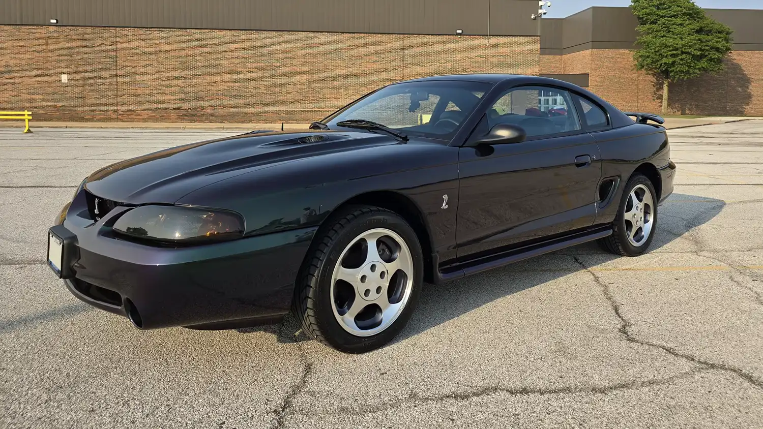 Power and Color Unite: 1996 Ford Mustang SVT Cobra Coupe