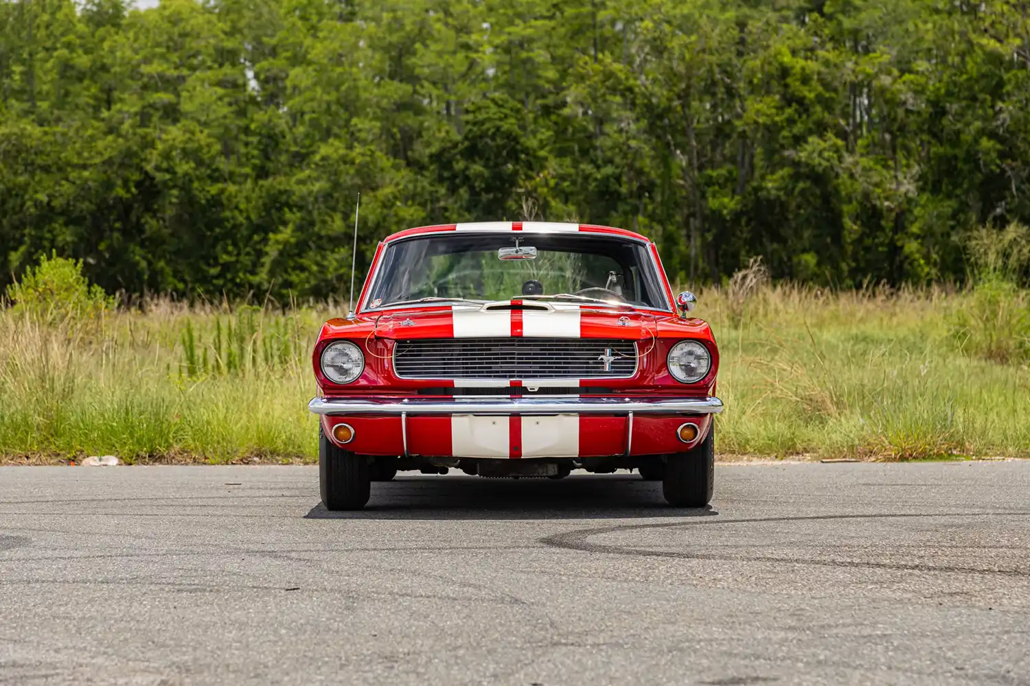 1966 Shelby GT350