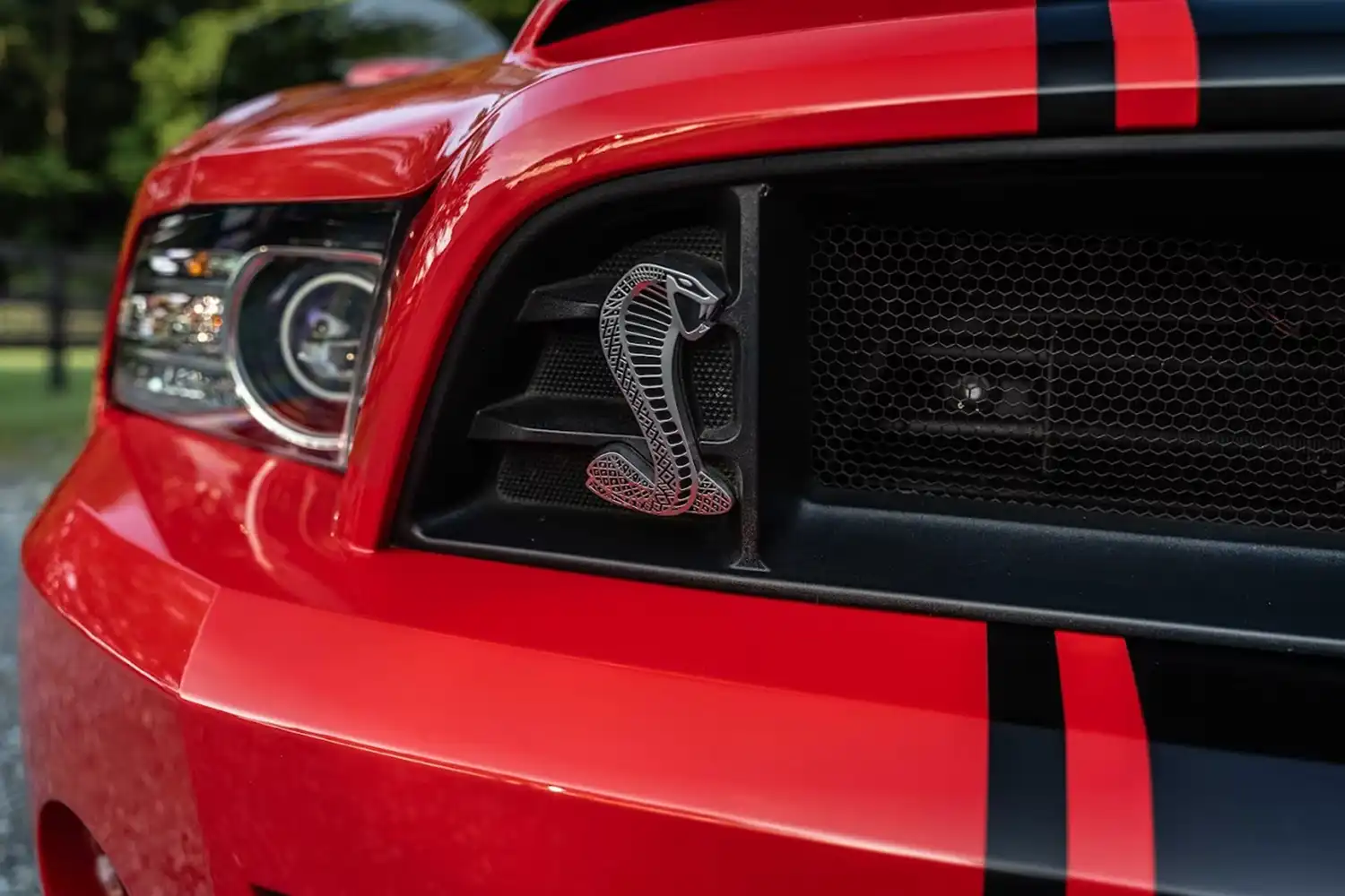 2014 Ford Shelby GT500 Super Snake 