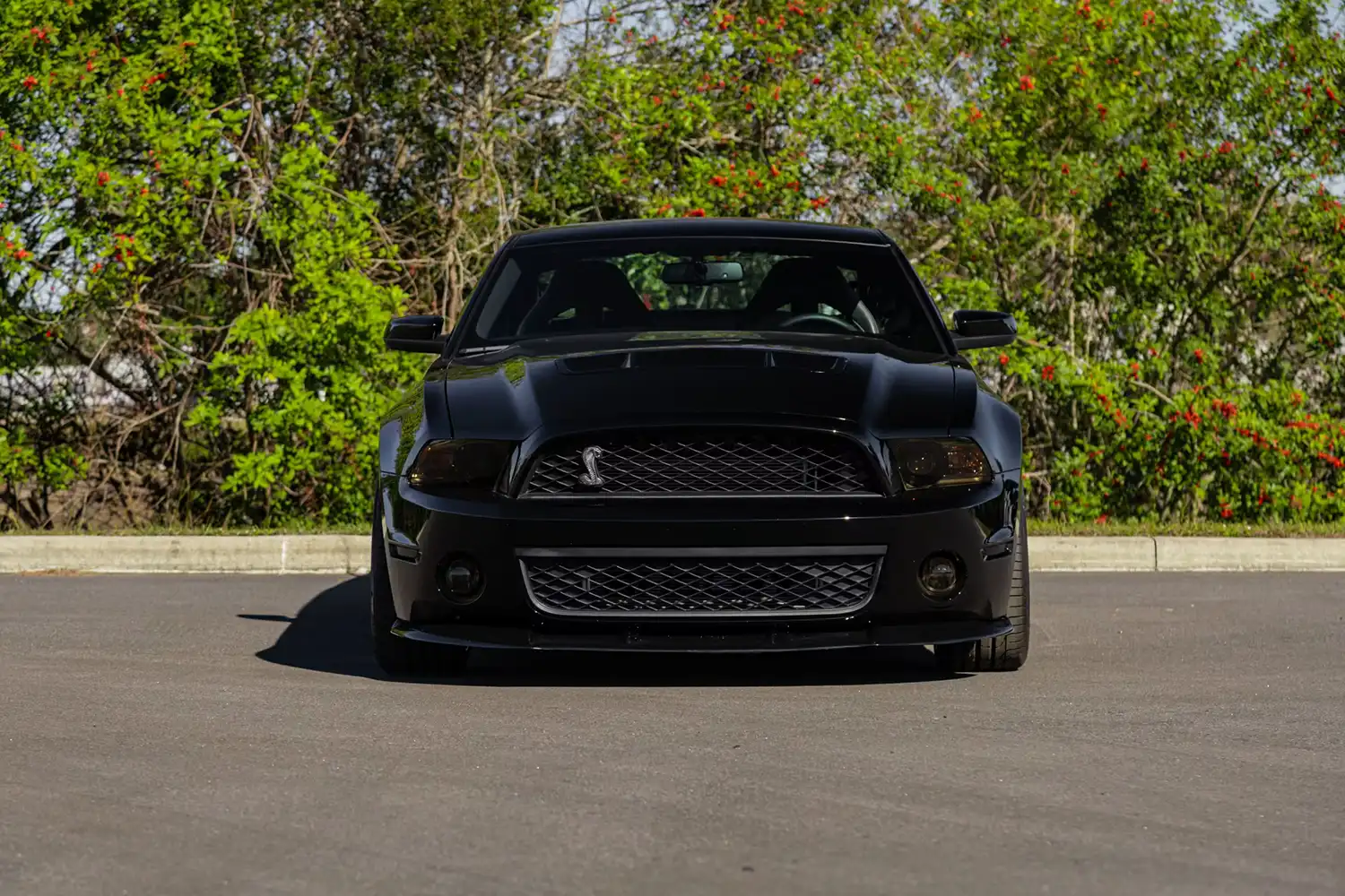 2012 Ford Shelby 1000