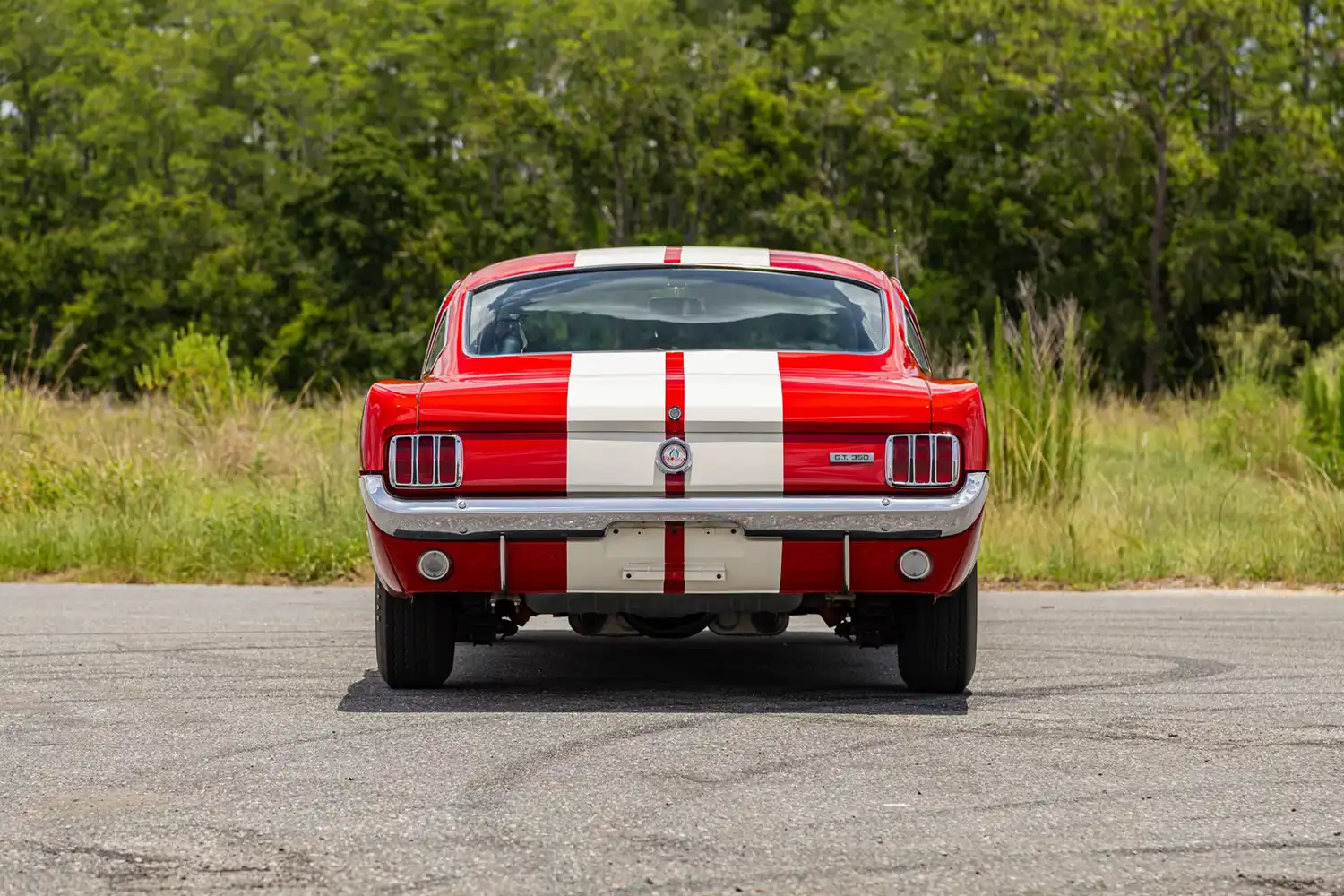 1966 Shelby GT350