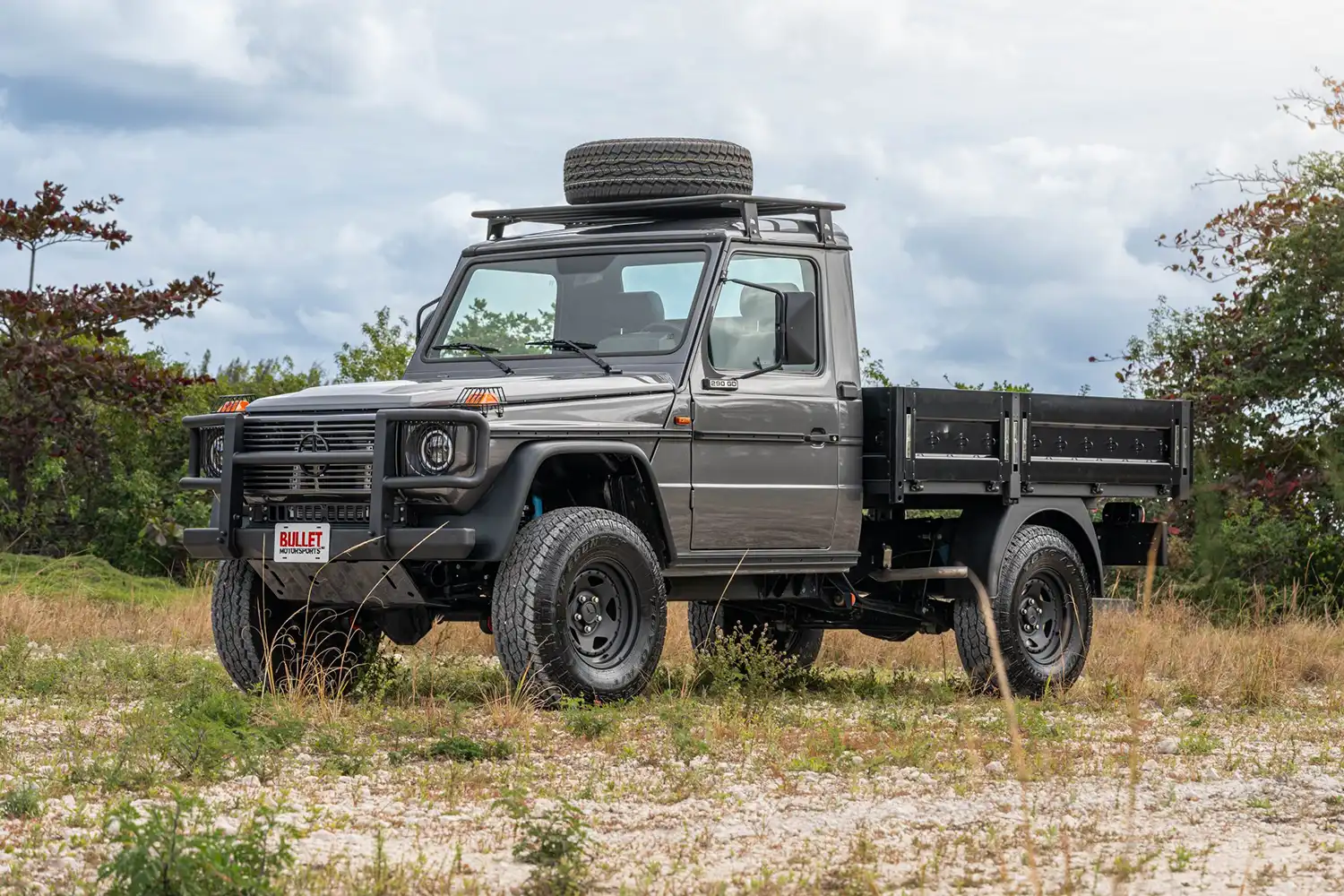 1993 Mercedes-Benz 290GD Pickup