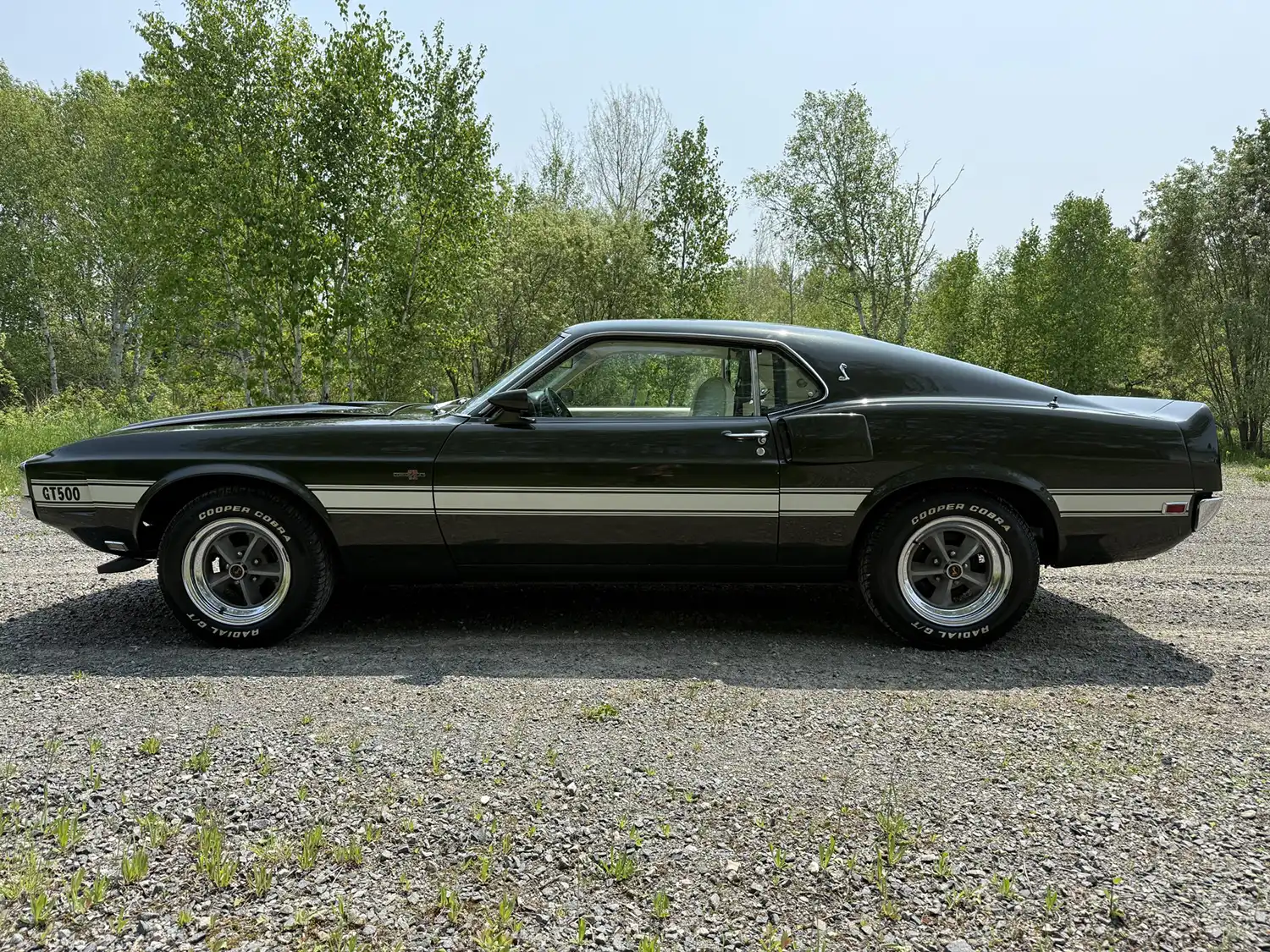 1969 Shelby GT500 Fastback