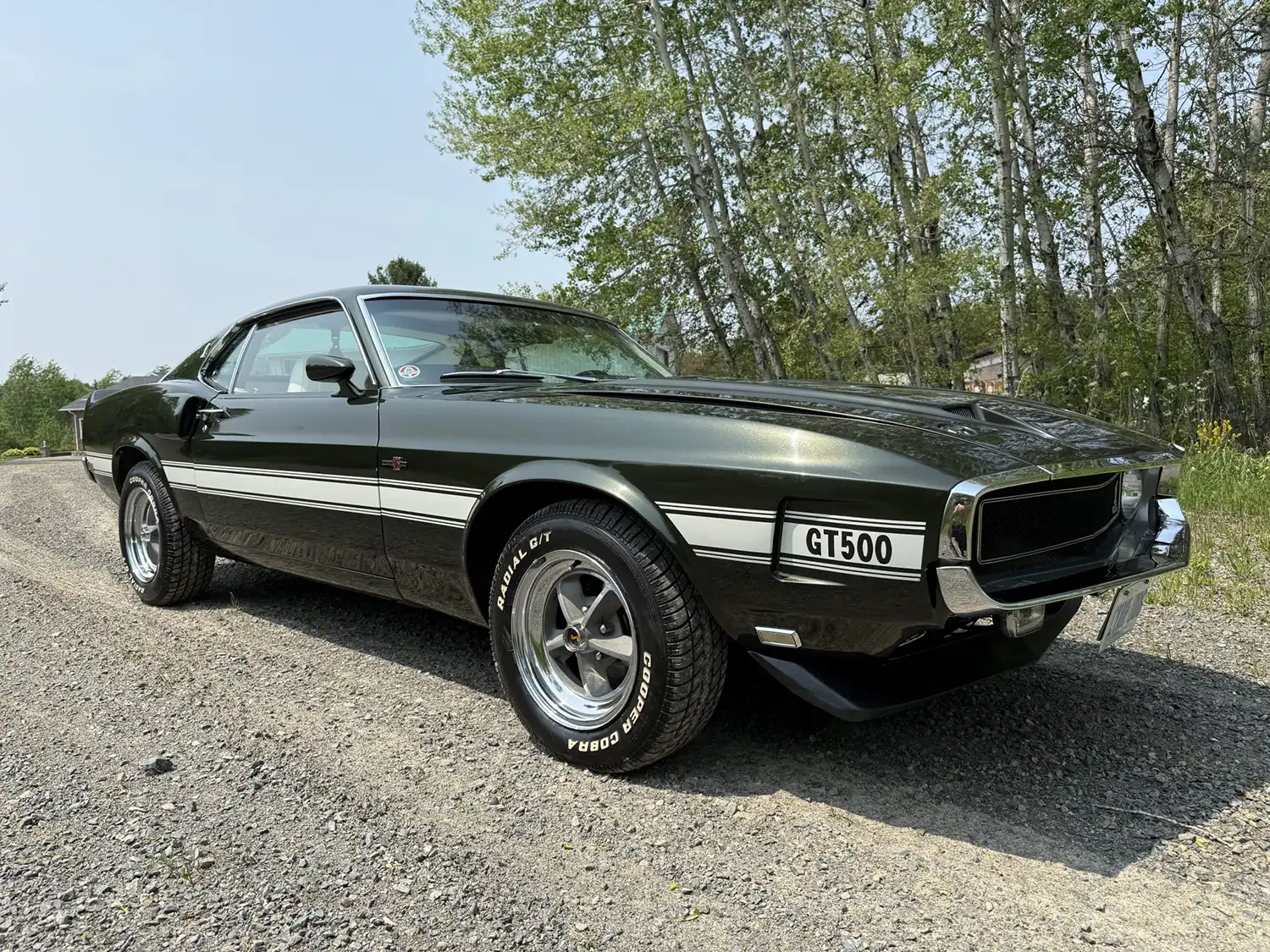 1969 Shelby GT500 Fastback