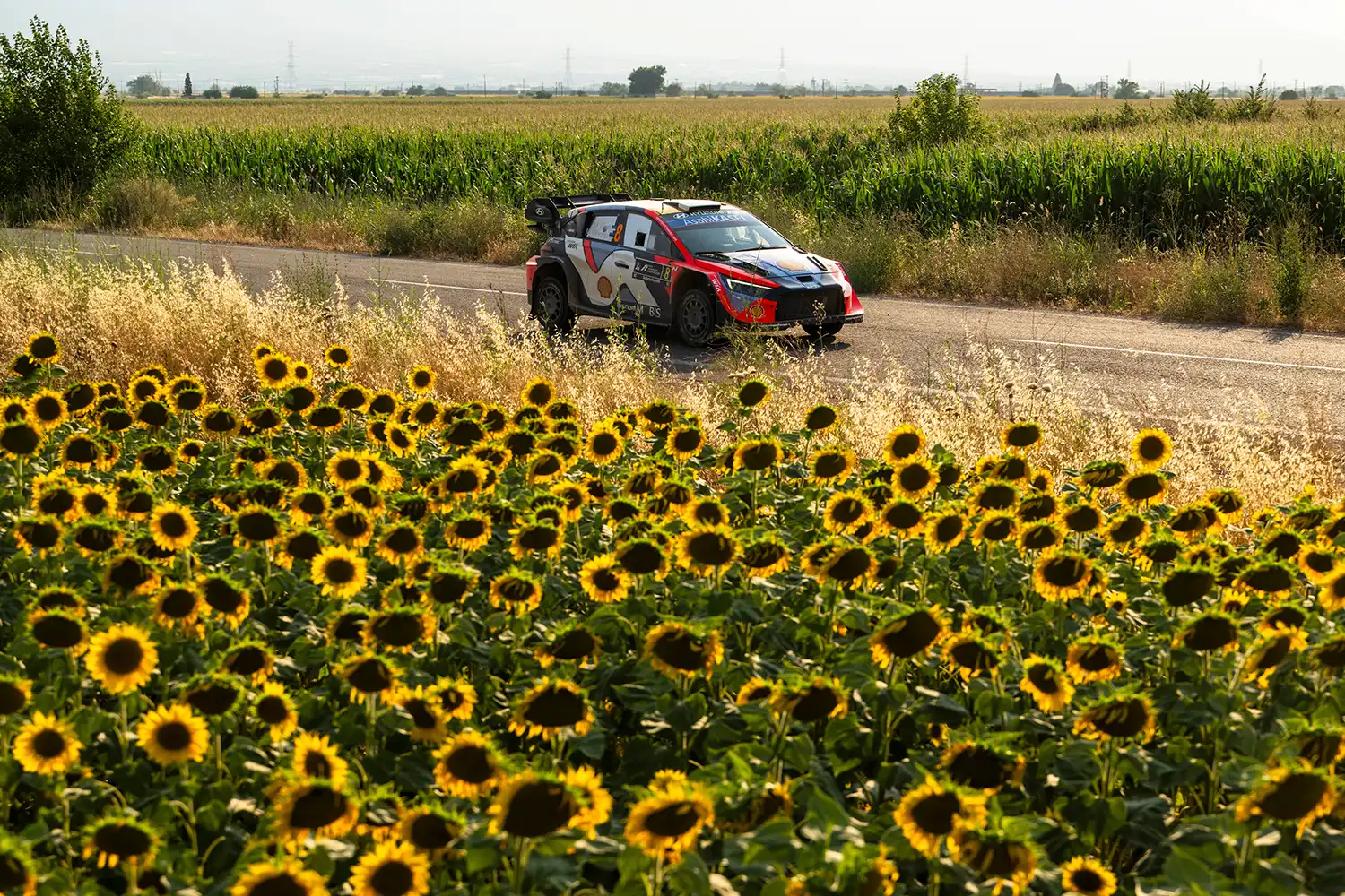 WRC – Tänak Turns Up the Heat on Scorching Acropolis Friday