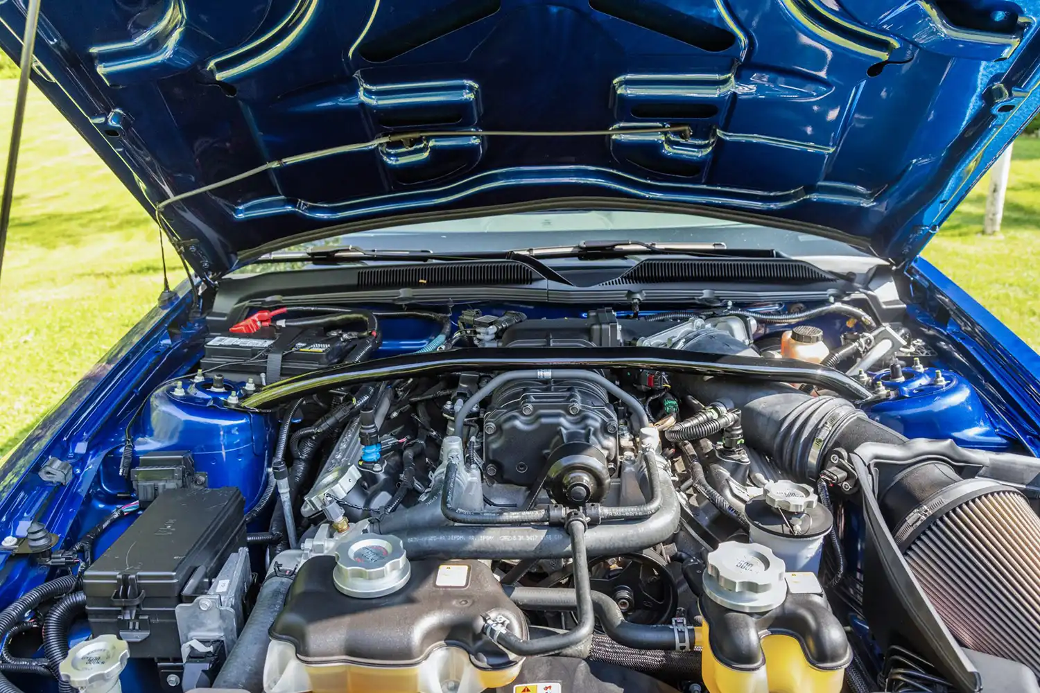 2009 Ford Mustang Shelby GT500KR