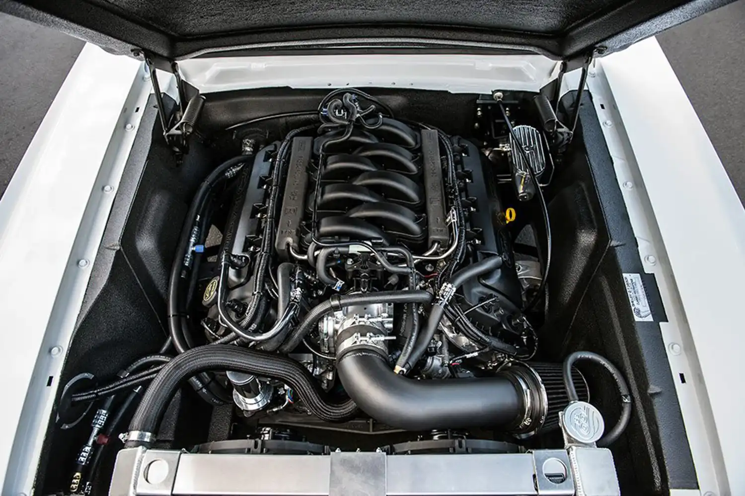 Shelby GT350CR Pro-Touring