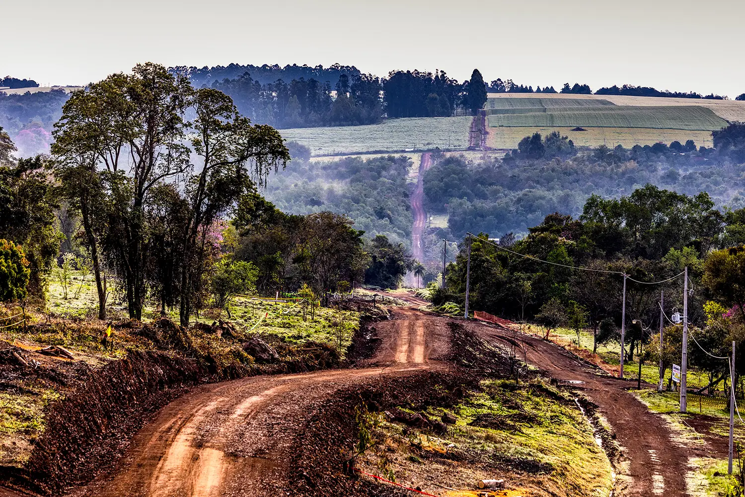 WRC Paraguay 2025: Title Fight Heats Up on Unknown Roads