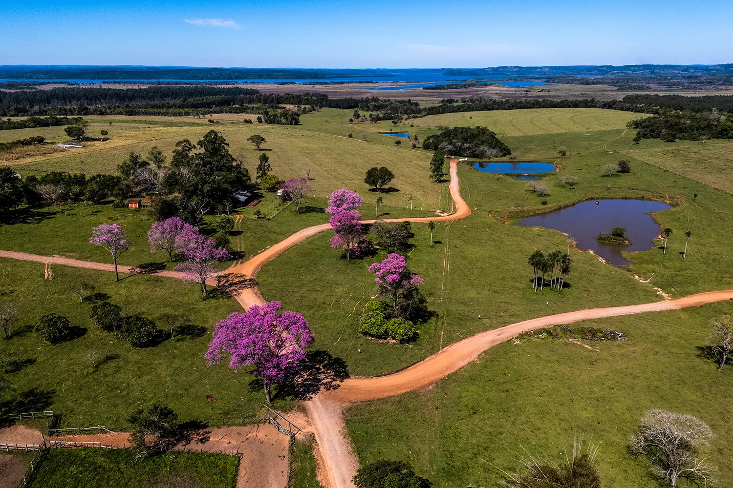 WRC Paraguay 2025 Preview