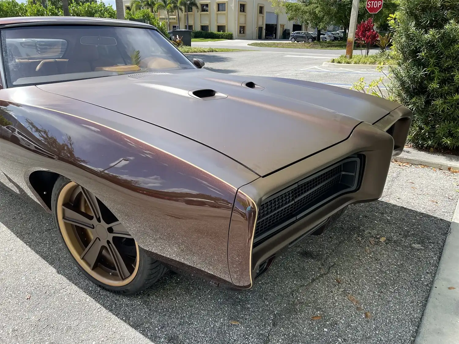 1969 Pontiac GTO Over Lord