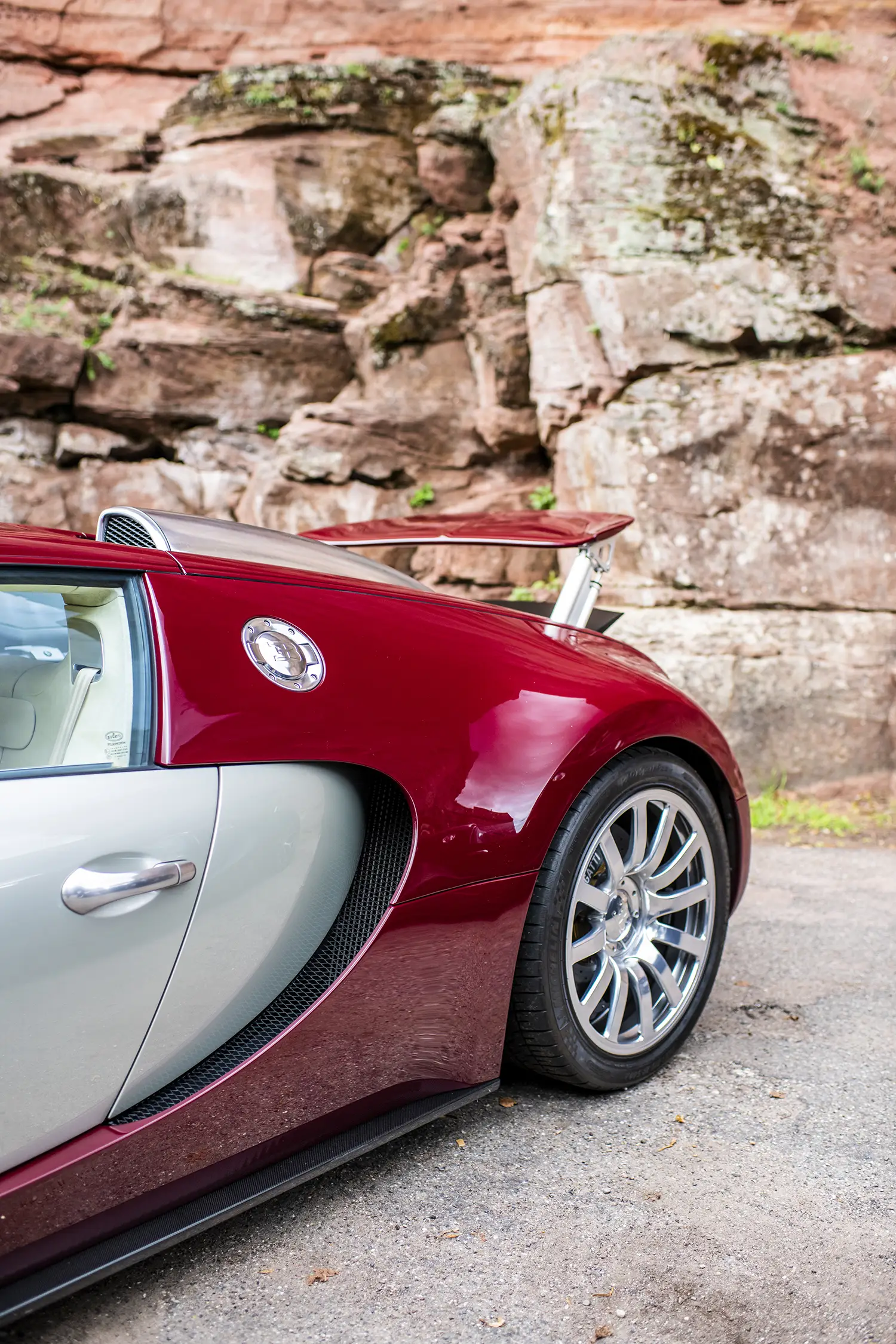 Bugatti Veyron 20 Years