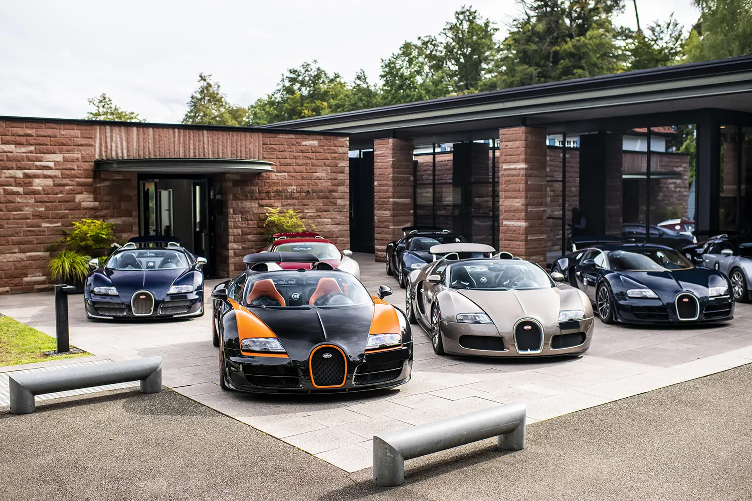 Bugatti Veyron 20 Years