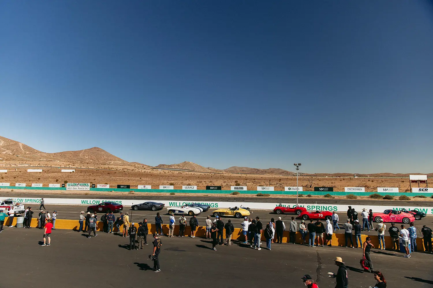 Willow Springs Reimagined