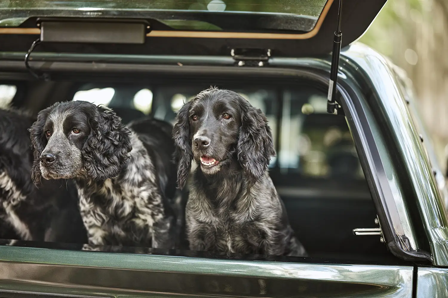 Isuzu D-Max Huntsman Accessory Pack Isuzu D-Max Huntsman Accessory Pack