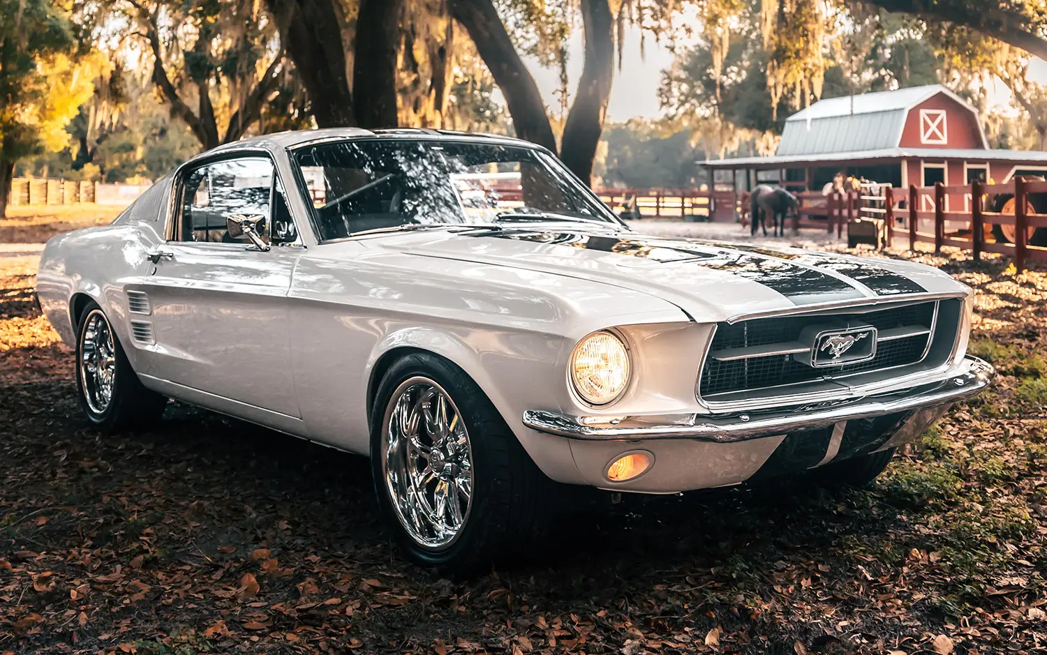 ECD 1967 Mustang Fastback