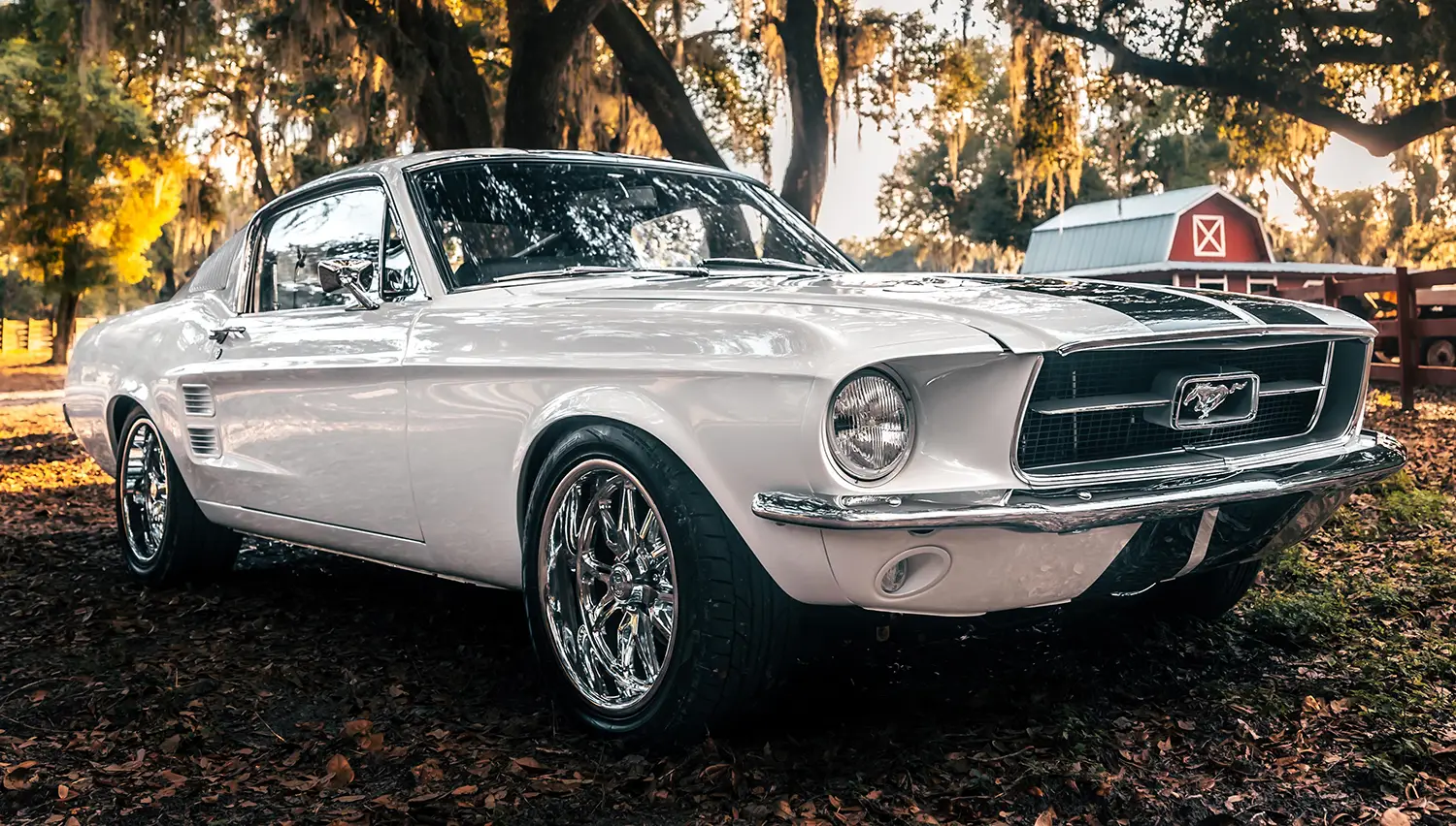 ECD 1967 Mustang Fastback