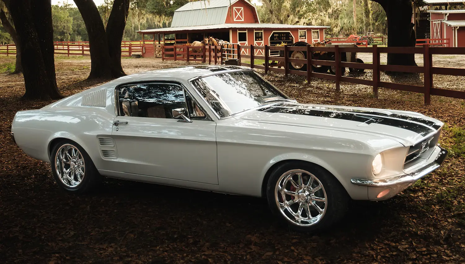 ECD 1967 Mustang Fastback