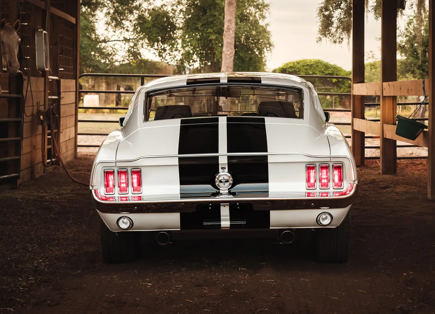 ECD 1967 Mustang Fastback