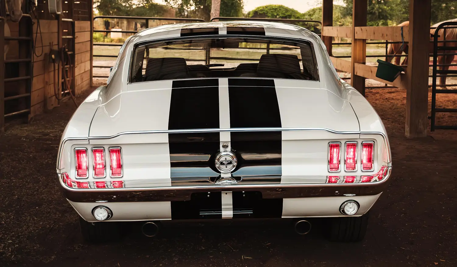 ECD 1967 Mustang Fastback