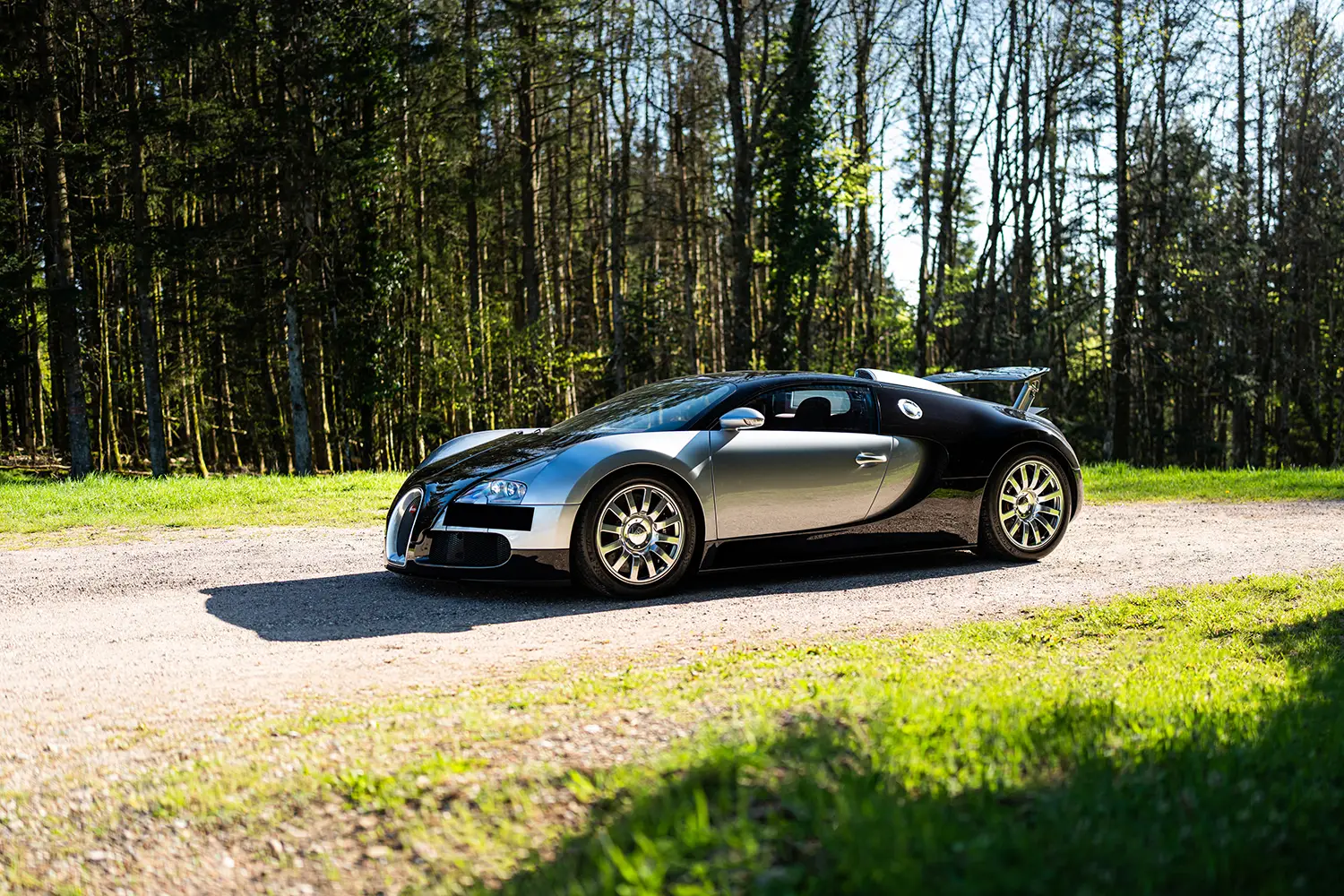 Bugatti Veyron Chassis 5.0