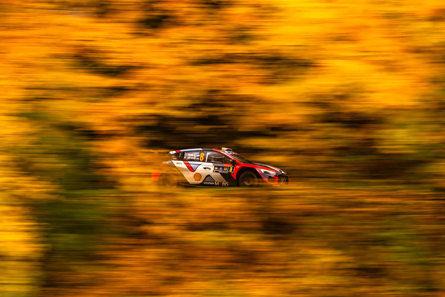 WRC 2025 Central European Rally Friday