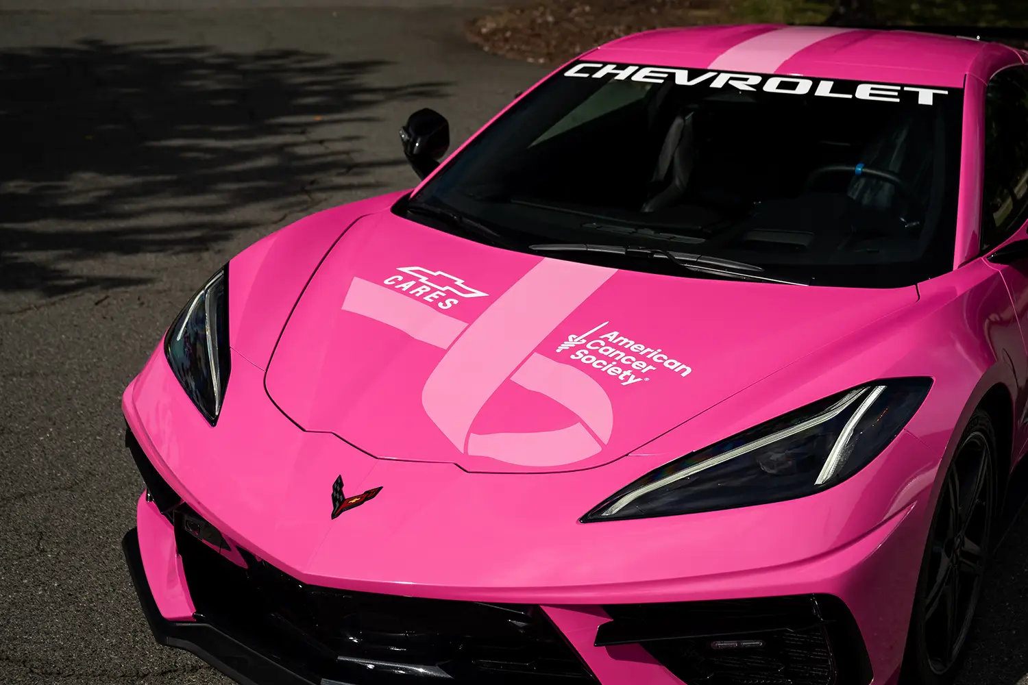 Pink Corvette Stingray