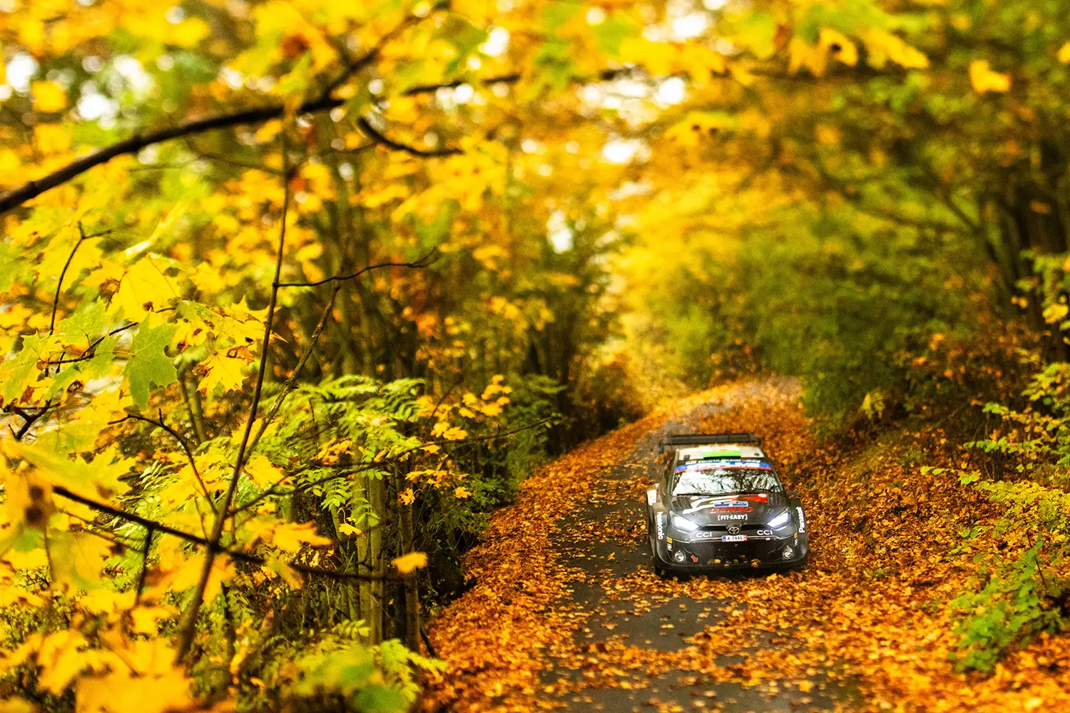Central European Rally 2025