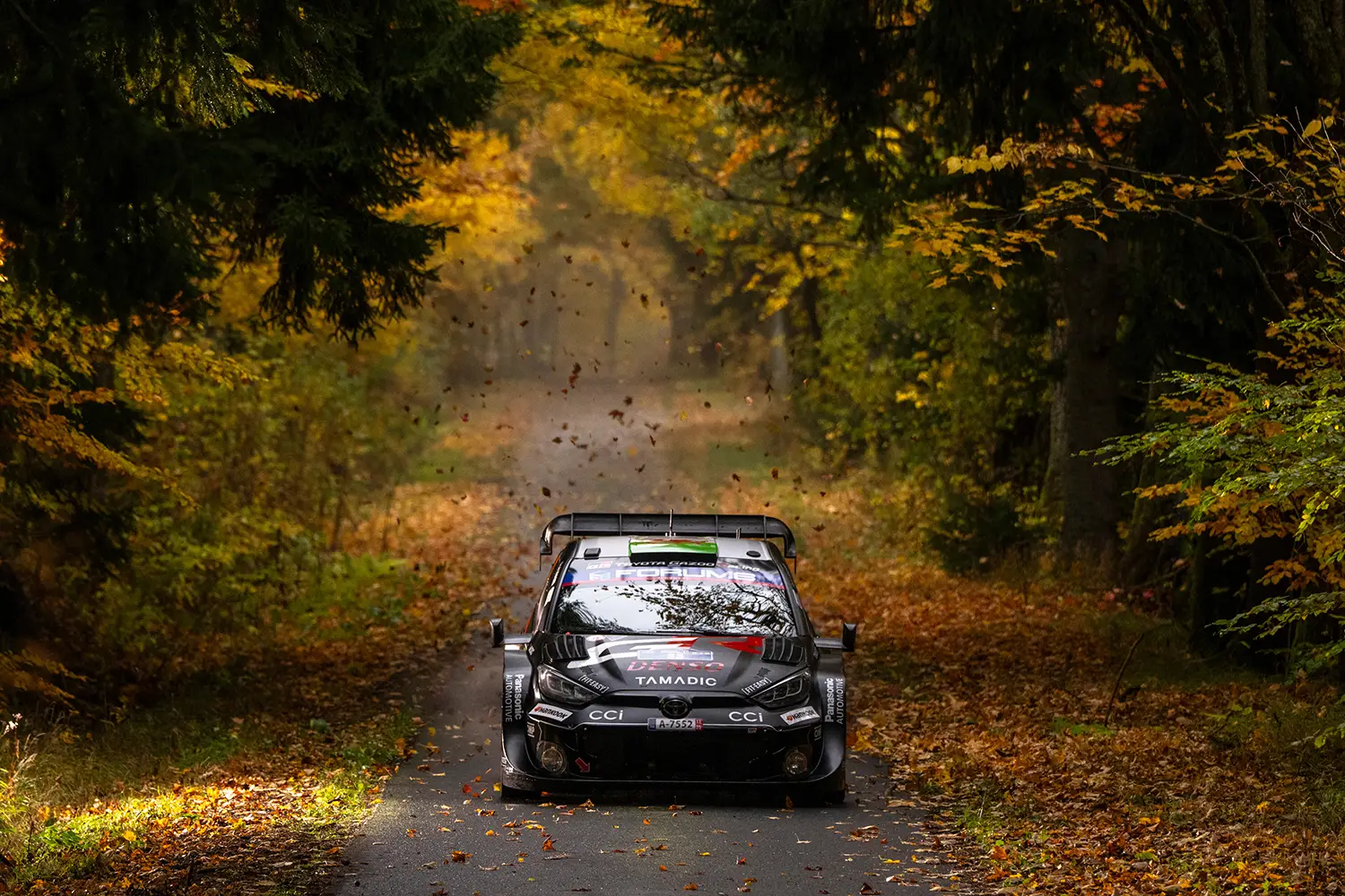 Central European Rally Saturday