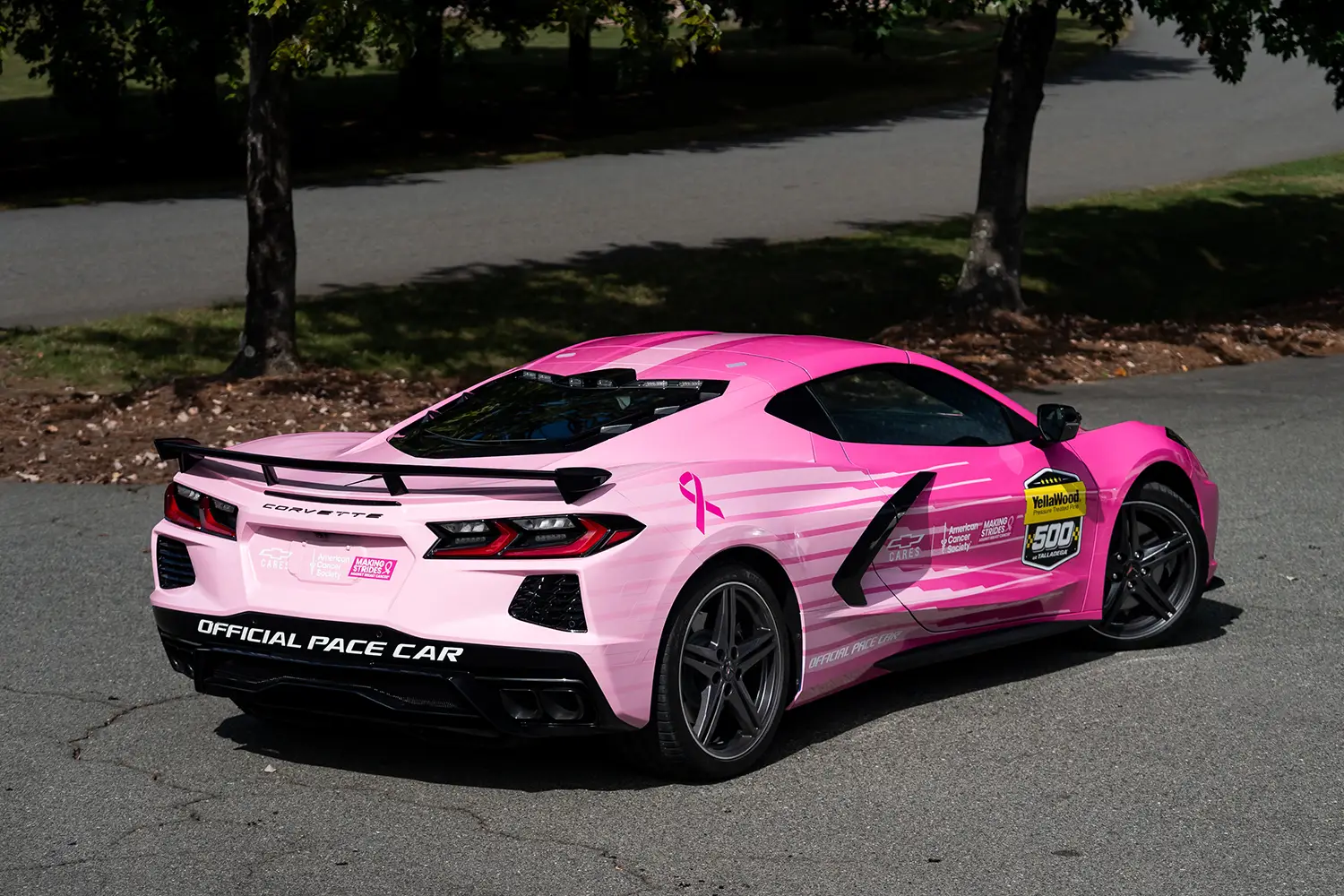 Pink Corvette Stingray