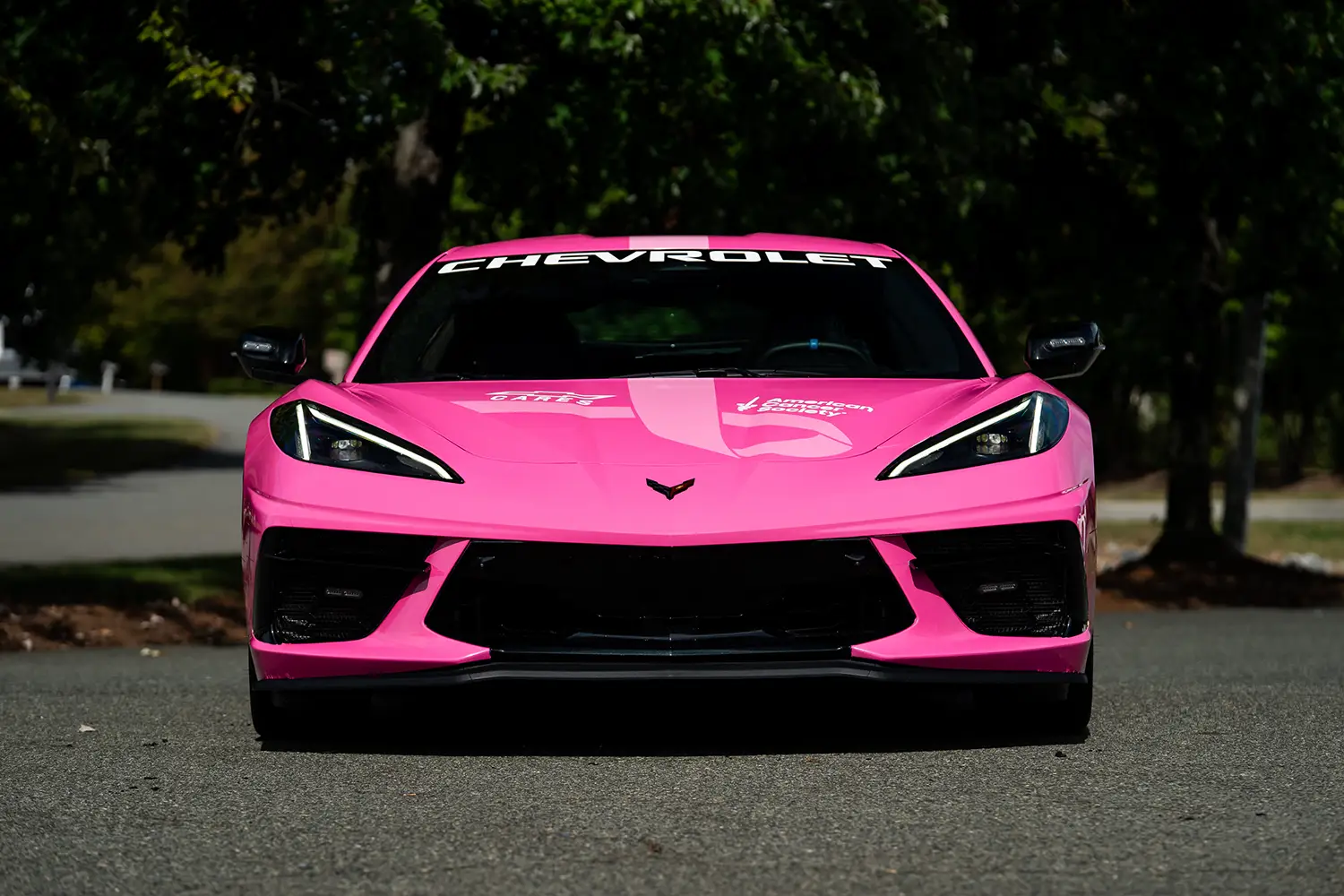 Pink Corvette Stingray
