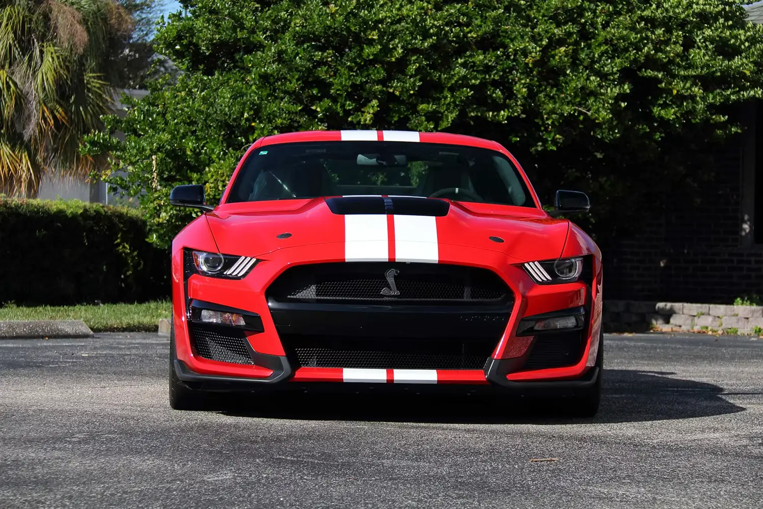 2020 Ford Shelby GT500 2020 Ford Shelby GT500