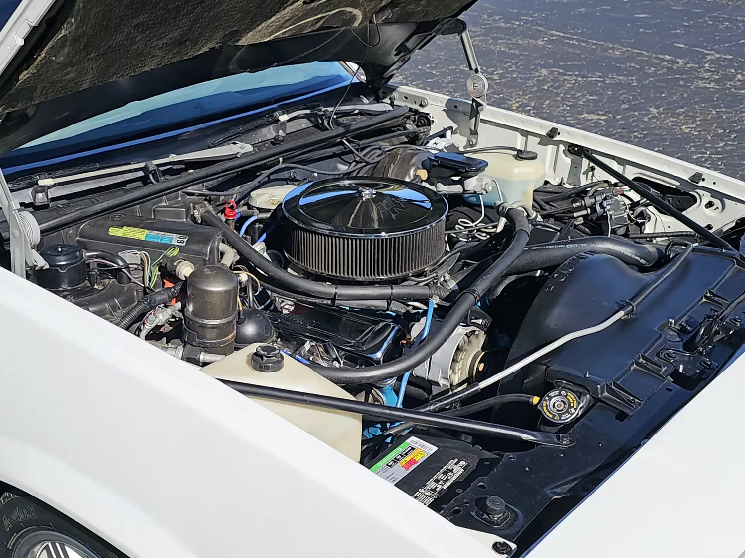 1981 Chevrolet El Camino Conquista 1981 Chevrolet El Camino Conquista