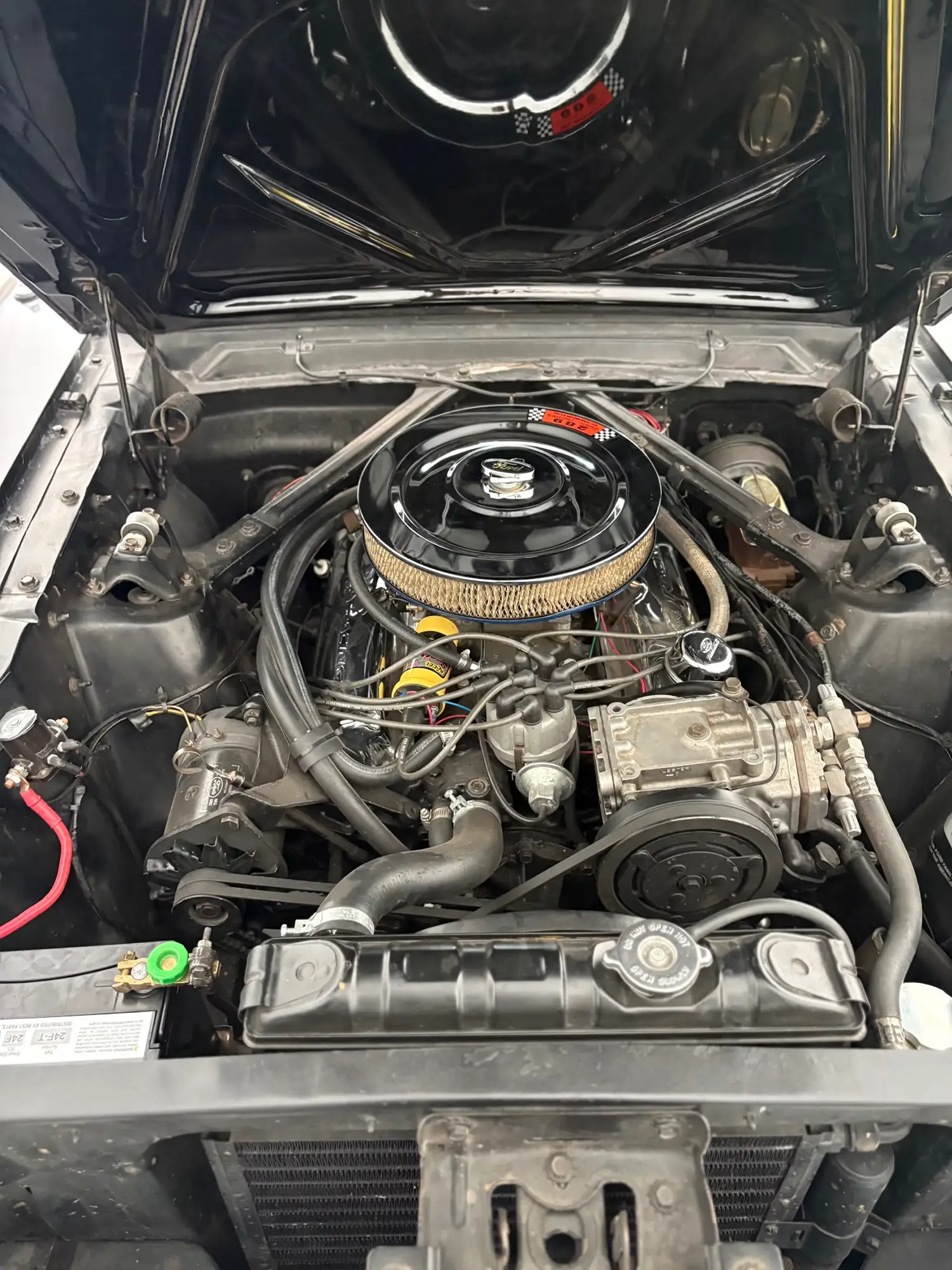 1965 Ford Mustang D-Code 1965 Ford Mustang D-Code