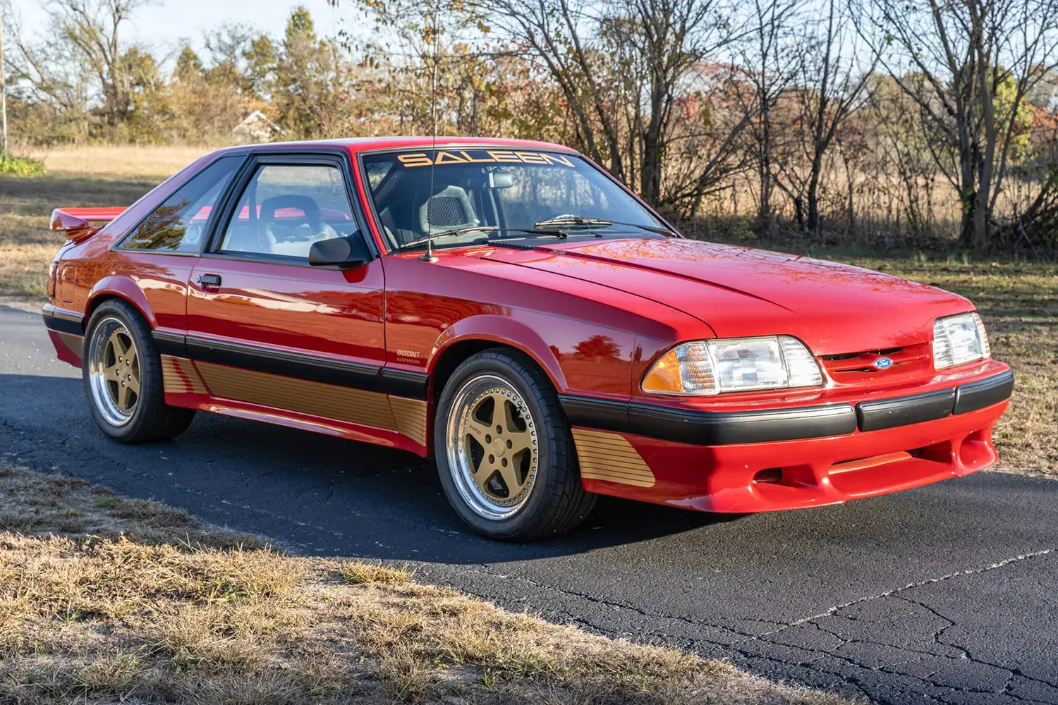 Supercharged 1990 Ford Mustang Saleen Hatchback Supercharged 1990 Ford Mustang Saleen Hatchback
