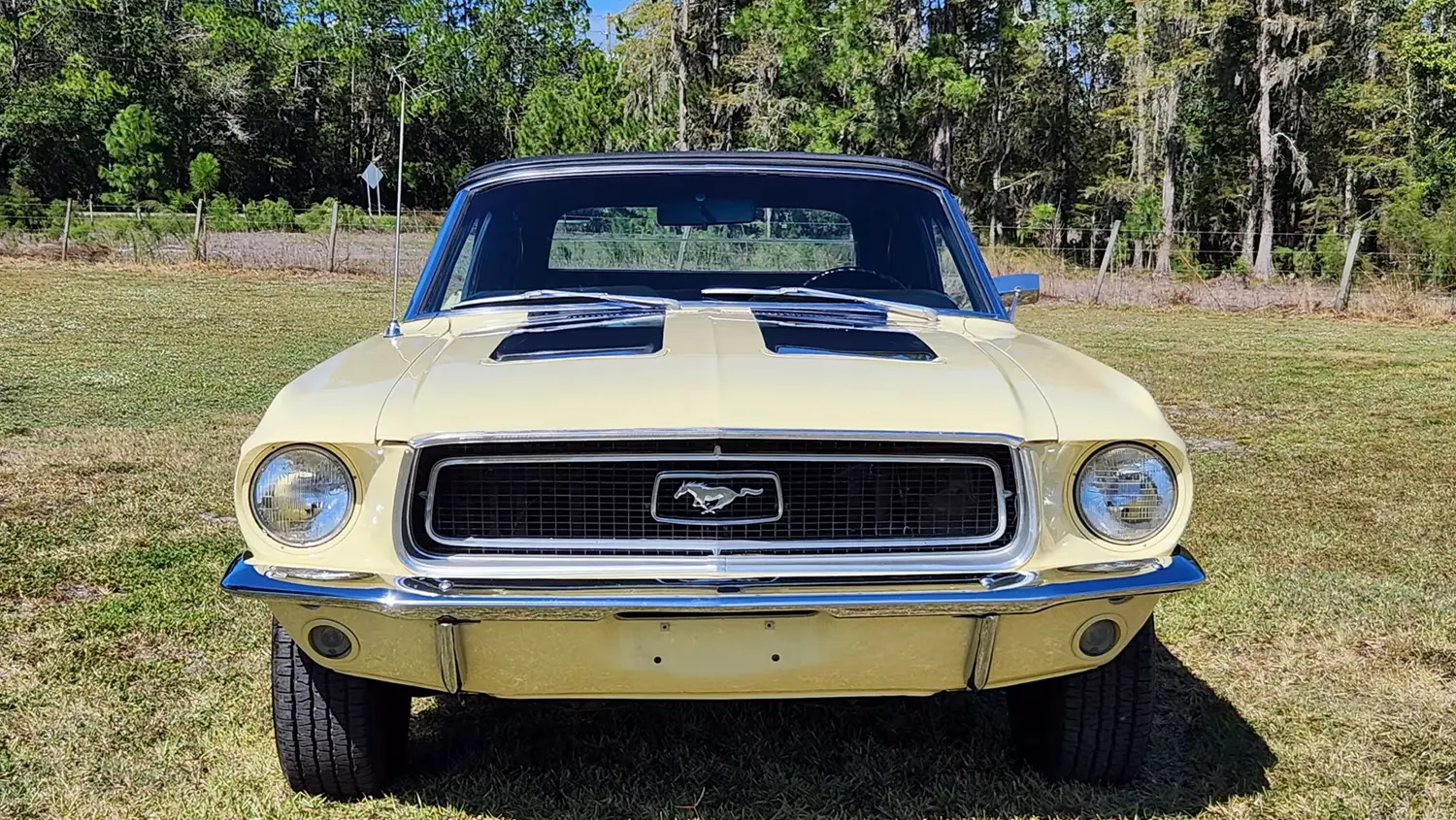 1968 Ford Mustang Convertible 1968 Ford Mustang Convertible