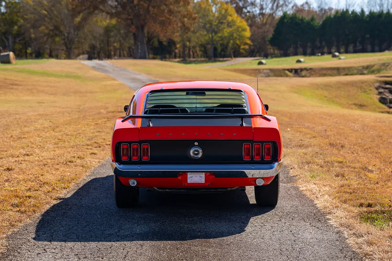 1969 Ford Mustang Boss 302