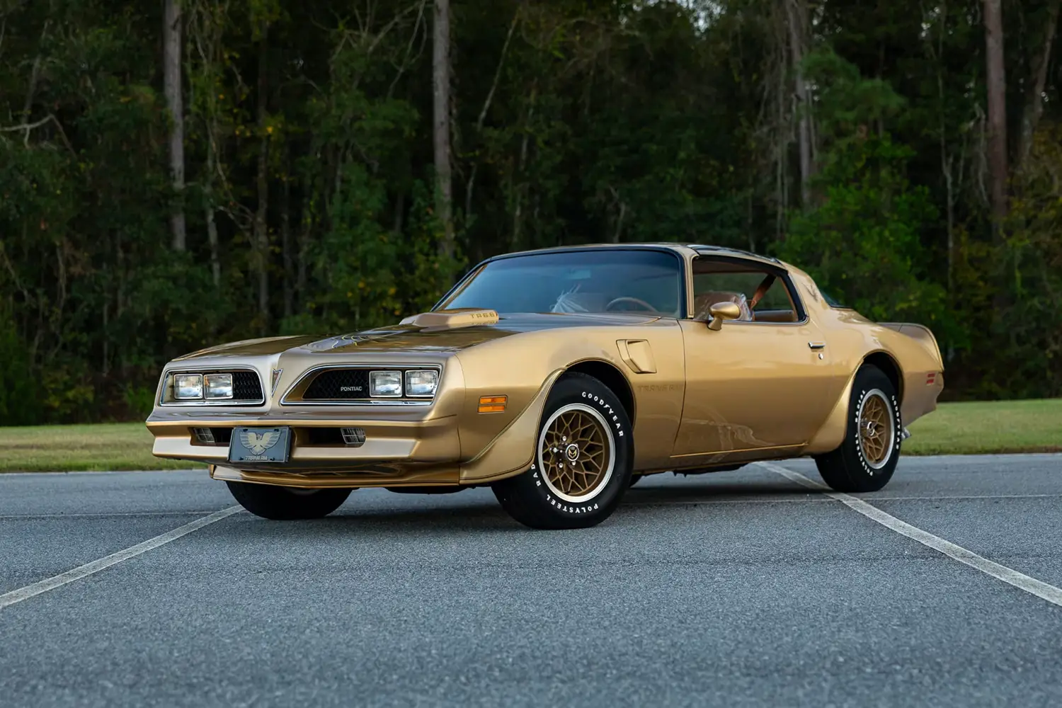1978 Pontiac Firebird Trans Am Coupe 1978 Pontiac Firebird Trans Am Coupe
