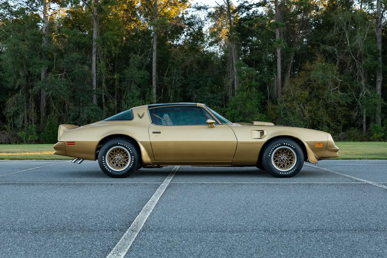 1978 Pontiac Firebird Trans Am Coupe 1978 Pontiac Firebird Trans Am Coupe