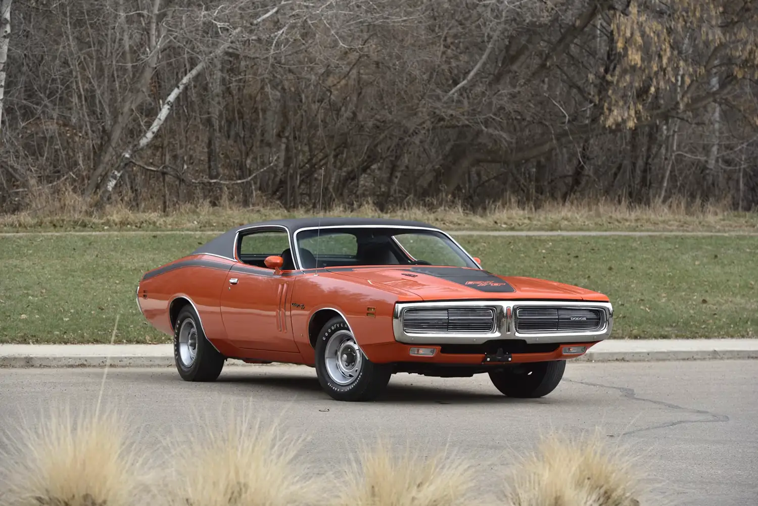 1971 Dodge Charger R/T 1971 Dodge Charger R/T