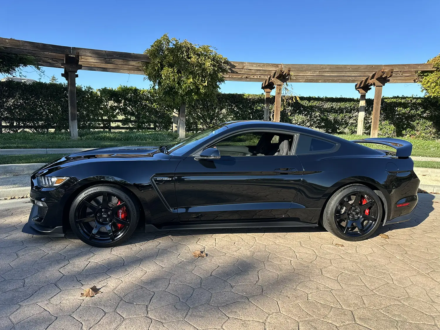 2018 Ford Mustang Shelby GT350R