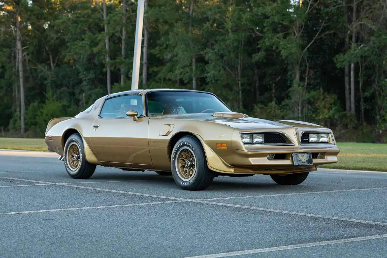 1978 Pontiac Firebird Trans Am Coupe 1978 Pontiac Firebird Trans Am Coupe