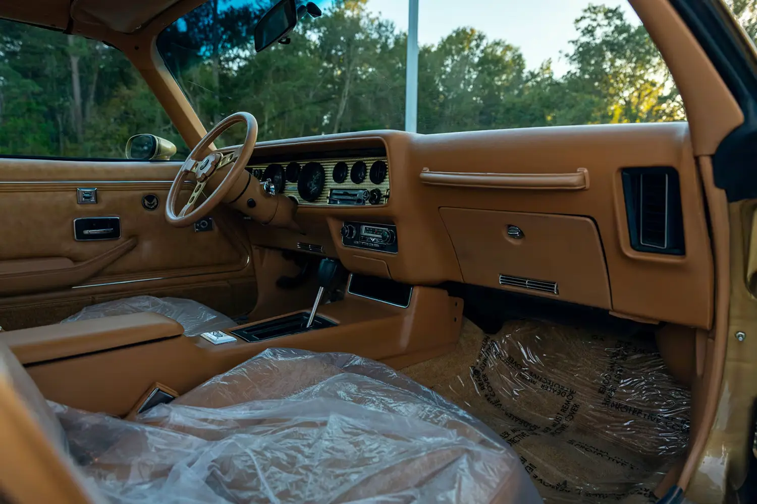 1978 Pontiac Firebird Trans Am Coupe 1978 Pontiac Firebird Trans Am Coupe