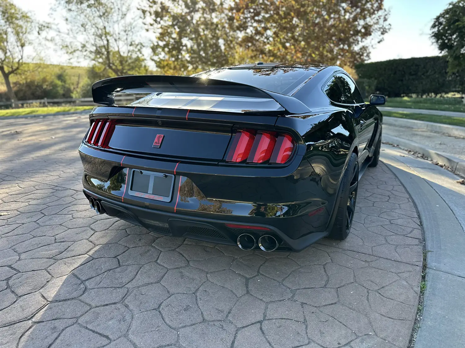 2018 Ford Mustang Shelby GT350R