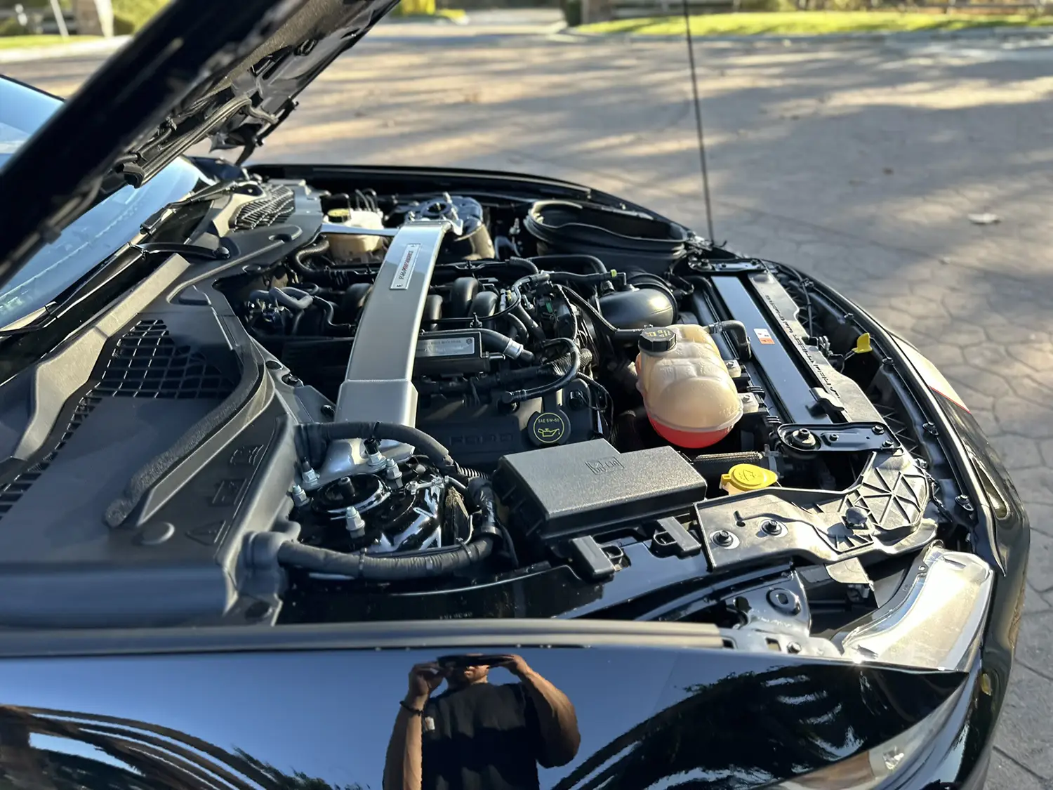 2018 Ford Mustang Shelby GT350R