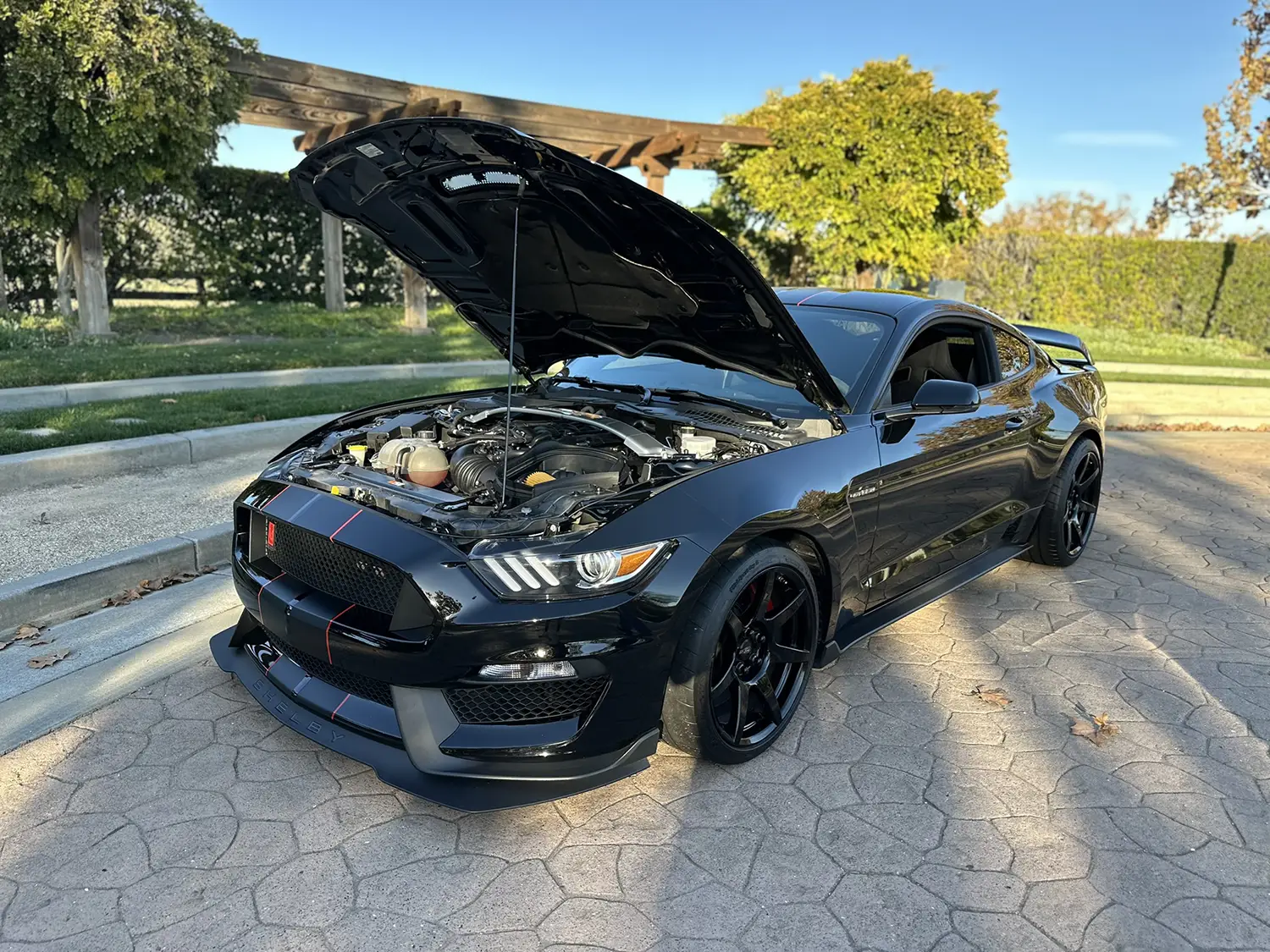 2018 Ford Mustang Shelby GT350R