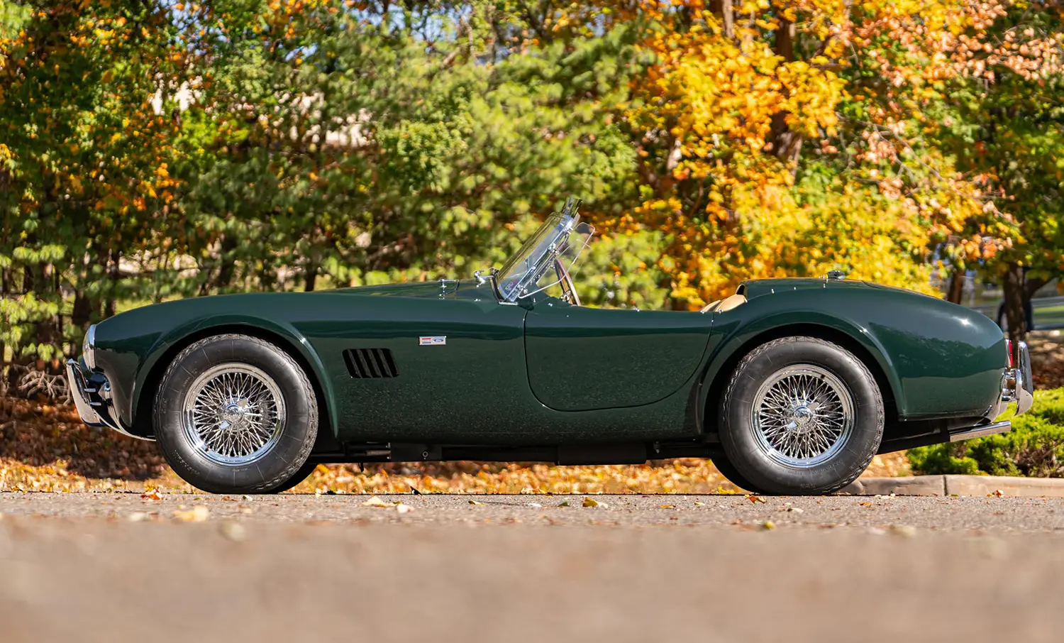 1964 Shelby 289 Cobra 1964 Shelby 289 Cobra